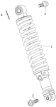 Federbein hinten