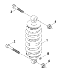 Federbein hinten