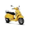 Vespa GTS 125 ie Super 4V 09-16 ABS/ o. ABS E3 [ZAPM4530]