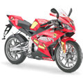 Aprilia RS 50 06-10 (D50B) ZD4PL / ZD4RG