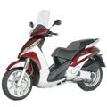 Peugeot Geopolis 250 ie 4V LC (Piaggio Motor) [N2ADAA] 06-12 E3