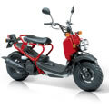 Honda Zoomer 50 NPS50 00-03 (Vergaser)