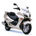 Honda Forza 250 NSS250 00-04 (Vergaser) [MF06/ MF07]