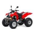 Derbi DXR Quad 250 2V 05- [VTHSM1A1A]