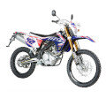 Rieju Marathon 125 Replica Cross LC 18-20 E4