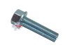 Hex Washer Face Bolt