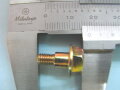 Fuel Pump Bolt