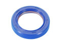 Wellendichtring Kurbelwelle Polini FKM/PTFE 24x35x7mm für Minarelli AM6, Generic, KSR-Moto, Keeway, Motobi, Ride, CPI, 1E40MA, 1E40MB