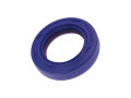 Wellendichtring Kurbelwelle Polini FKM/PTFE 19x30x7mm für Piaggio