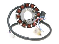 Lichtmaschine Stator 12 Pole für Minarelli AM6 Power...