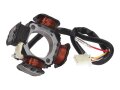 Lichtmaschine Stator 79mm für Morini, Derbi Motor