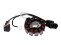 Lichtmaschine Stator für Aprilia, Gilera, Derbi, Piaggio, Vespa 125ccm, 200ccm