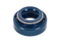 Wellendichtring Wasserpumpe Top Performances D10x18x5/8 für Minarelli AM