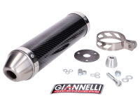 Endschalldämpfer Giannelli Carbon für Yamaha...