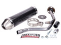 Endschalldämpfer Giannelli Carbon mit ABE für Yamaha DT 50 R 2004, Malaguti XTM, XSM