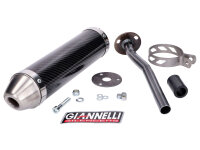 Endschalldämpfer Giannelli Carbon für Yamaha DT...