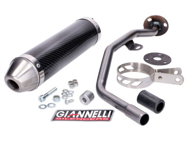 Endschalldämpfer Giannelli Carbon für Peugeot XPS TL 50 06-07