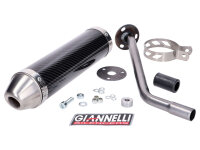 Endschalldämpfer Giannelli Carbon für Beta RR...