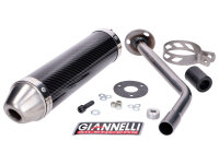 Endschalldämpfer Giannelli Carbon für Beta RR...