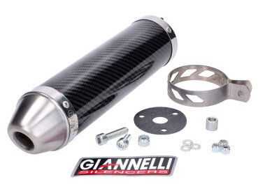 Endschalldämpfer Giannelli Carbon für Aprilia RS 50 99-06, Tuono 50 03-06