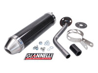 Endschalldämpfer Giannelli carbon für HRD Sonic...