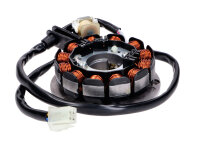 Lichtmaschine Stator 12 Pole für Minarelli AM6 Euro4...